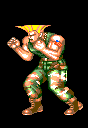 guile.gif (2620 bytes)